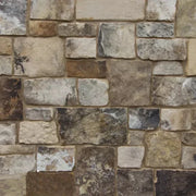 Biltmore Collection - Big Timber