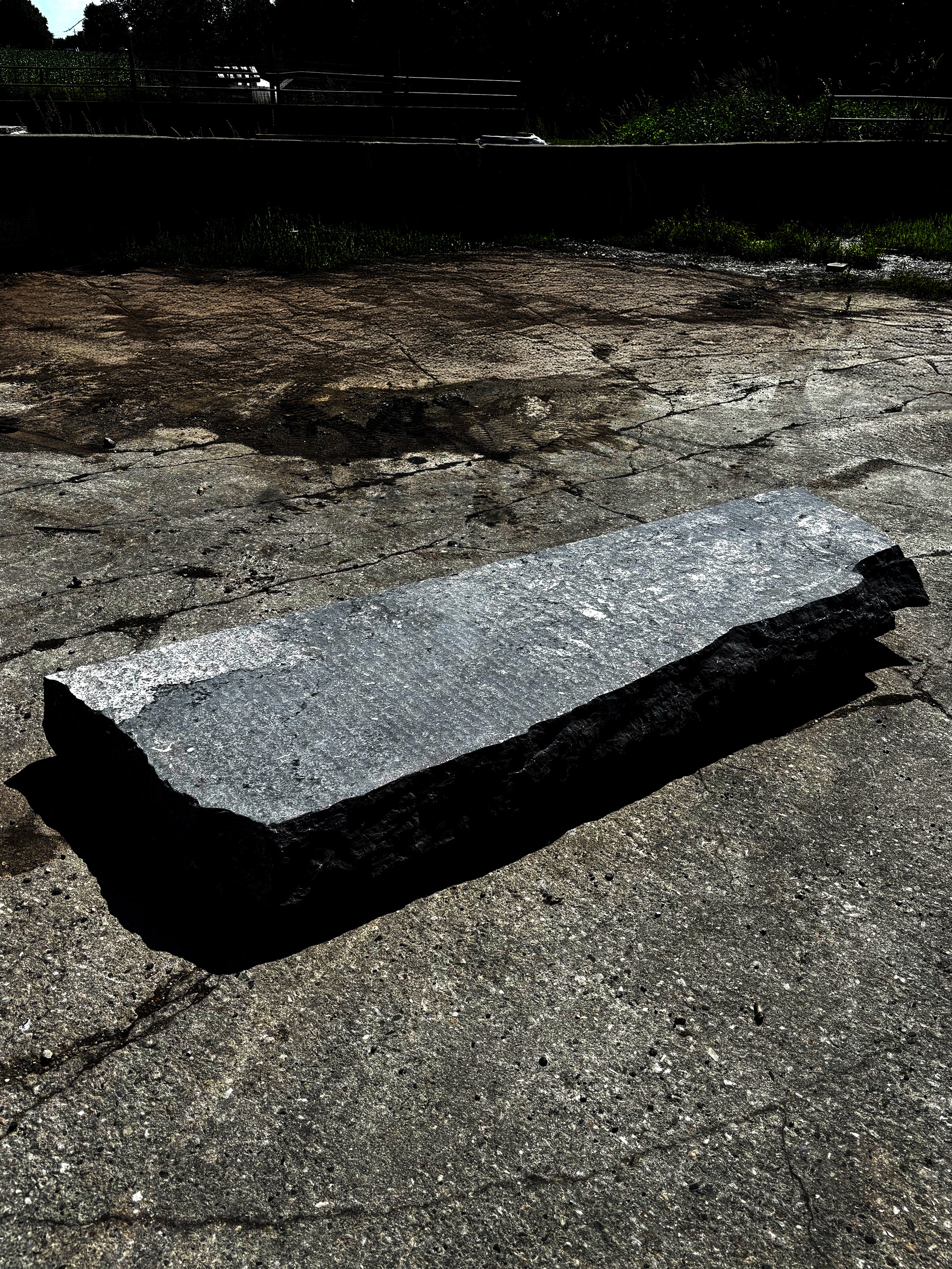 Cut-back Steps - Kawartha Dark