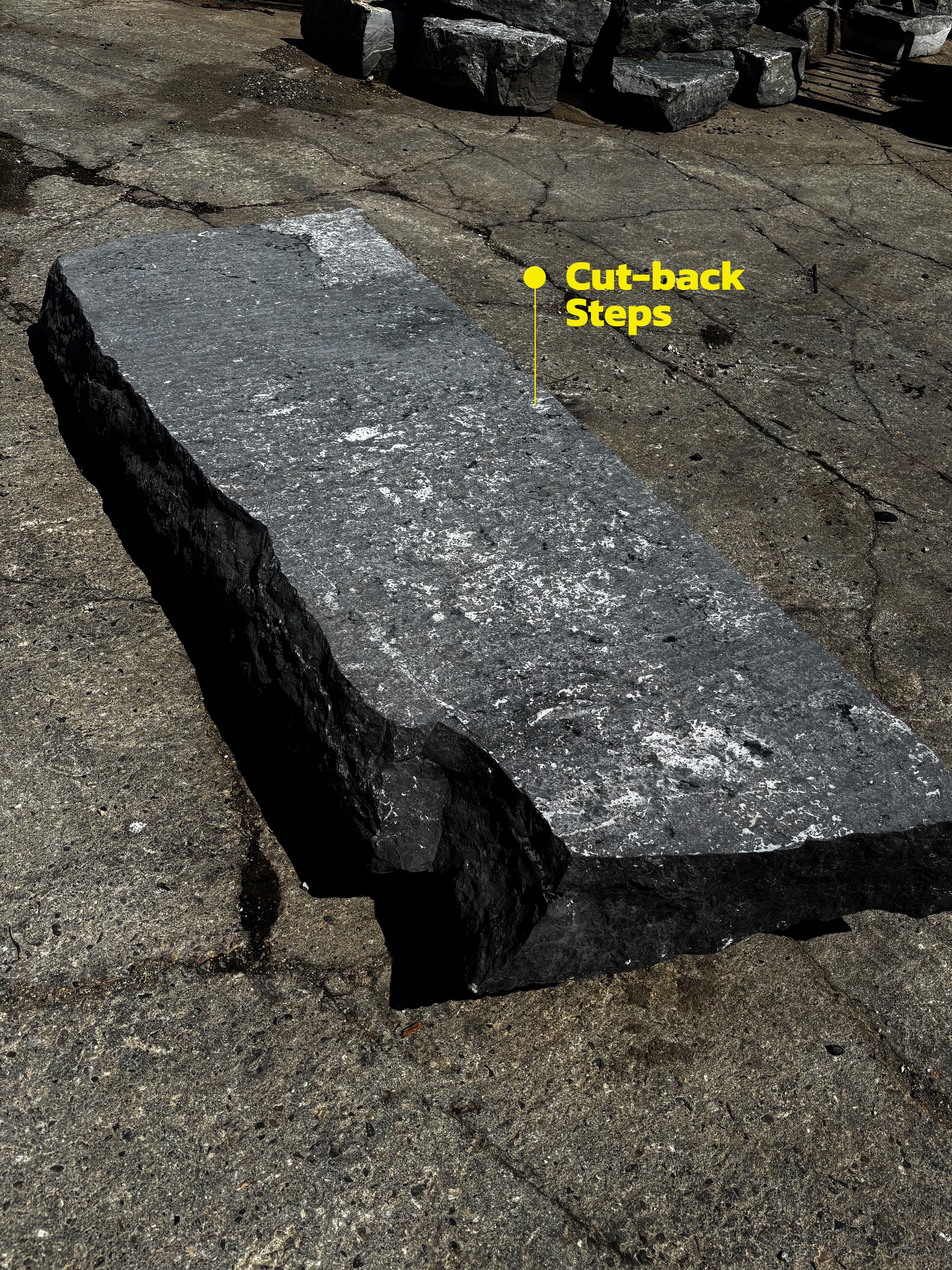 Cut-back Steps - Kawartha Dark