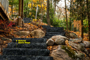 Natural Stone Steps - Dana Black Granite