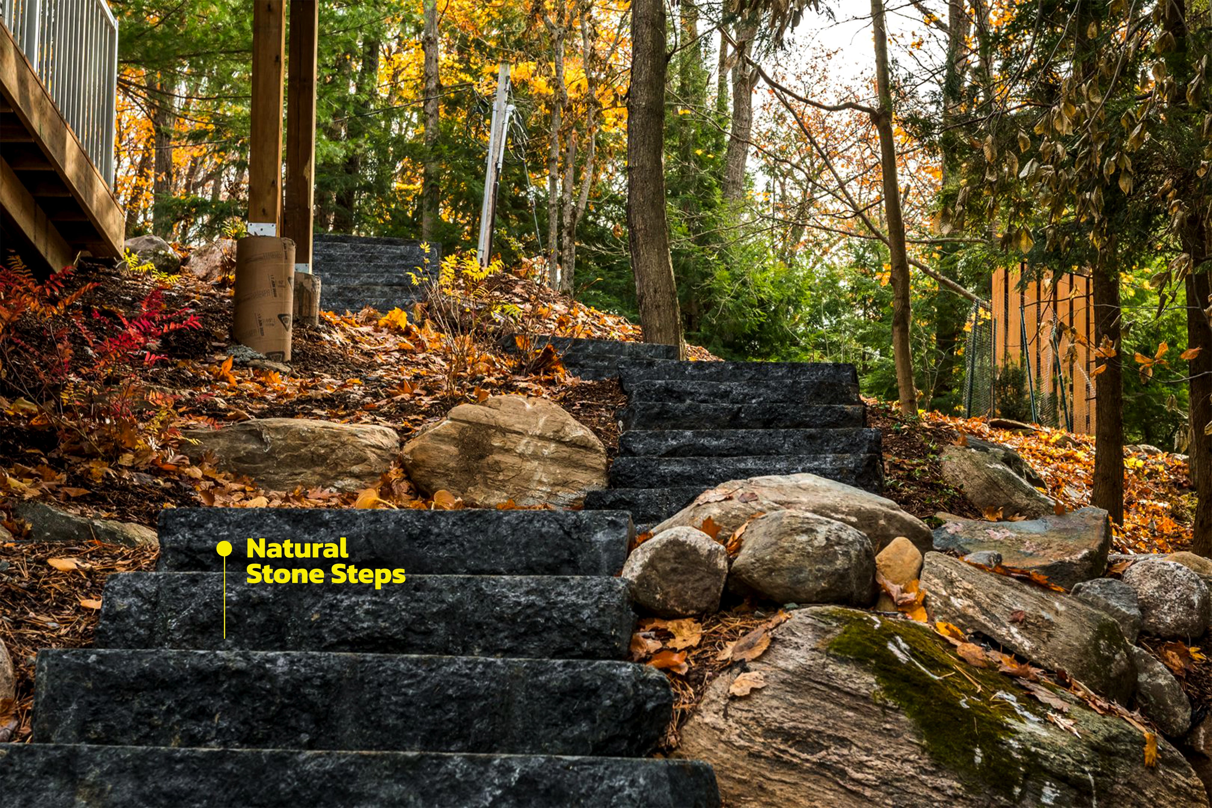 Natural Stone Steps - Dana Black Granite