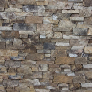 Ledgestone Collection - Juneau Ledgestone