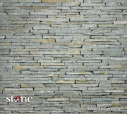 SILVER LEDGESTONE - Panels